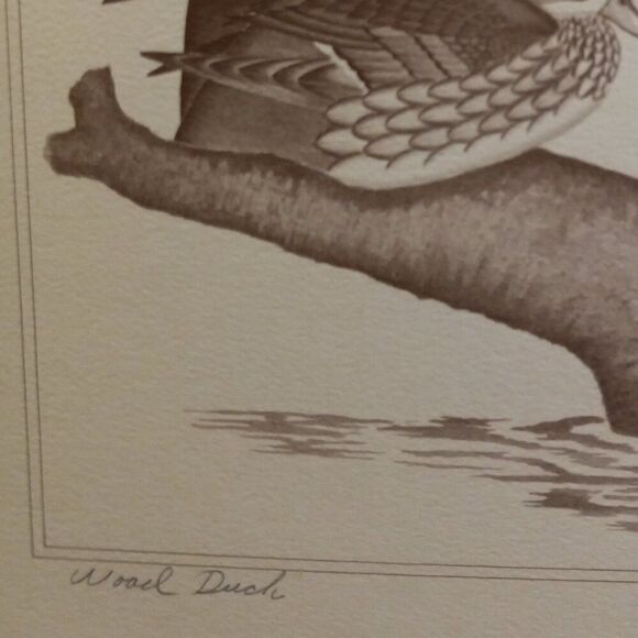 Vintage American Waterfowl Etching/Print Lynn Forehand 5 of 5 Cottagecor… - Picture 3 of 7